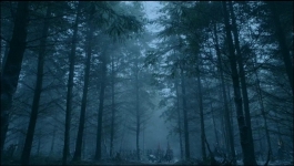 Vikings (Hindi) - Season 06 Episode 11